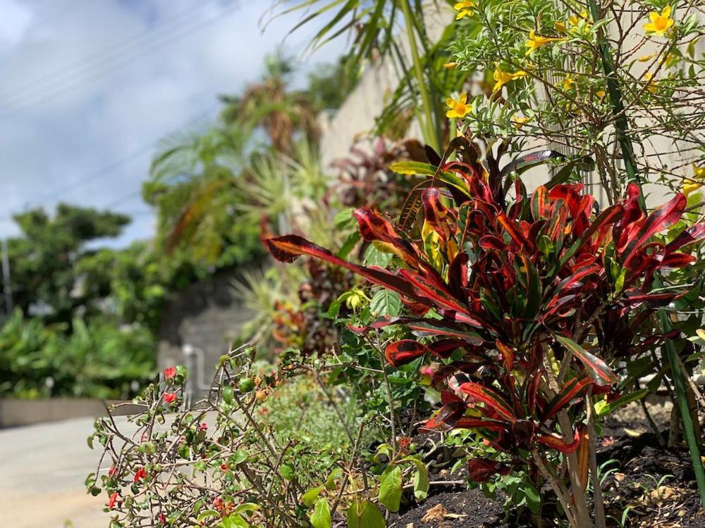 Hotel 紅-Bin- Okinawa Exterior photo